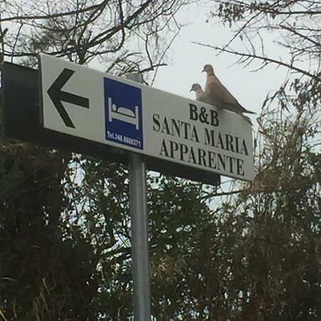 Monolocali B&B Santa Maria Apparente Civitanova Marche Zewnętrze zdjęcie